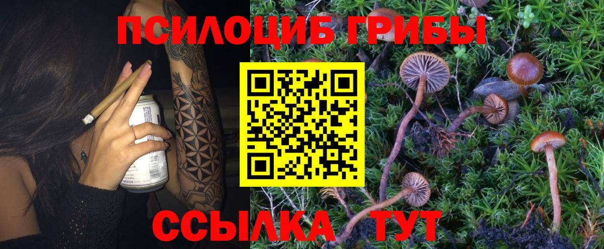 Псилоцибиновые грибы GOLDEN TEACHER Урюпинск