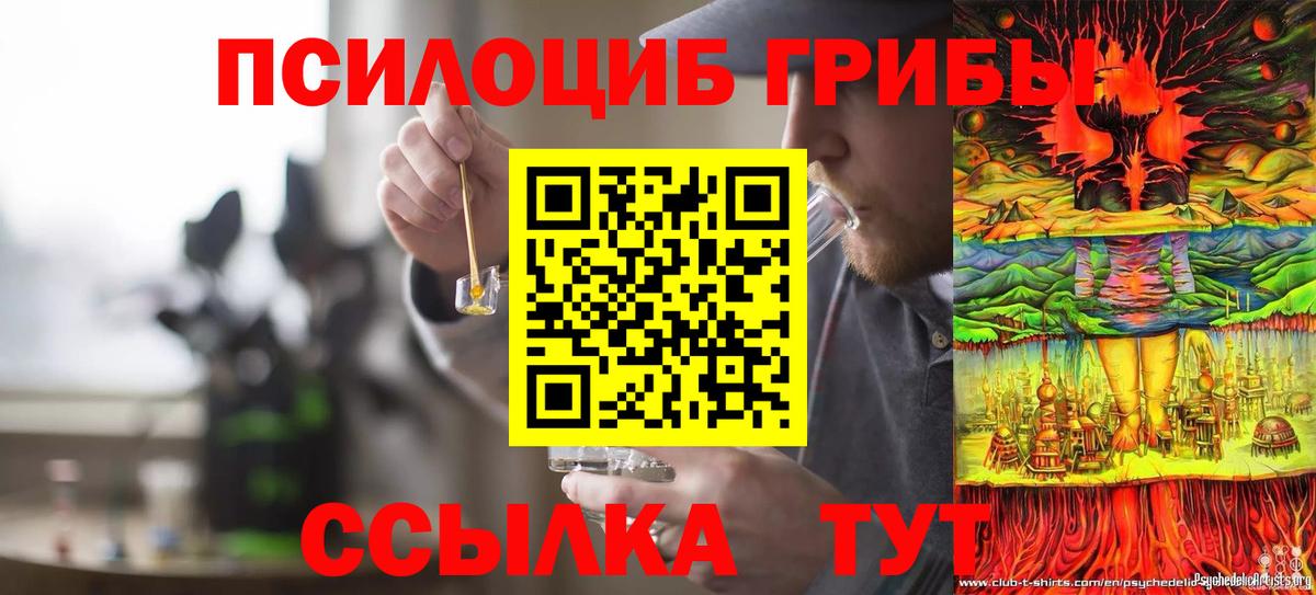 Галлюциногенные грибы GOLDEN TEACHER  Псилоцибиновые грибы GOLDEN TEACHER  Вход с VPN  Урюпинск 